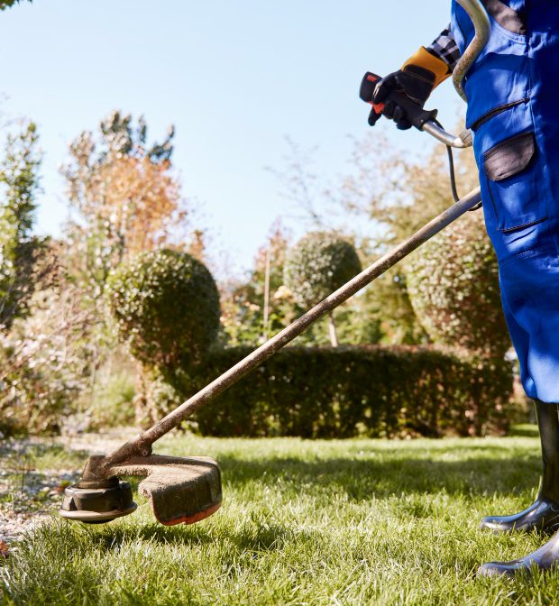 gardener with weedwacker cutting grass garden